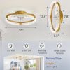windphoto 2-Pack 20" Ceiling Fans with Lights, APP & Remote, Gold | Low Profile, Flush Mount, Fandelier, 3000K-6000K, Dimmable LED, for Bedroom