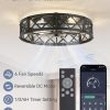 windphoto 23" Caged Farmhouse Ceiling Fan with Light, Flush Mount, Black | Remote&APP Control, Large Low Profile, Rustic Fandaliers, Industrial Bladeless Enclosed, Powerful Motor for Bedroom, Kitchen