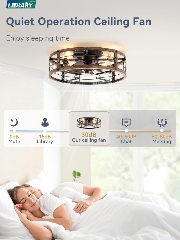 windphoto 20" Caged Low Profile Ceiling Fan with Light and Remote Black Gold | Flush Mount, Bladeless Enclosed Fandelier, 6 Speed, Quiet Powerful DC, Rustic,Farmhouse, Small, Bedroom, Kitchen, Indoor