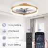 71gI-TldEQL._AC_SL1500_.jpg windphoto 19.7" Ceiling Fans with Lights, Low Profile Fandelier for Bedroom | Flush Mount Fan Light, Stepless Dimmable, App/Remote Control, 3 CCT Led, 6 Speeds, Quiet Reversible DC Motor, Gold