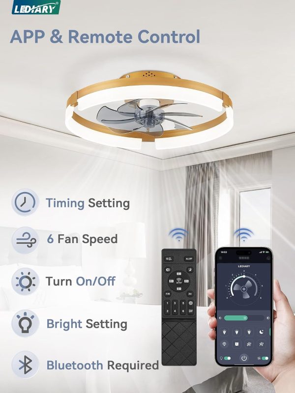 71gI-TldEQL._AC_SL1500_.jpg windphoto 19.7" Ceiling Fans with Lights, Low Profile Fandelier for Bedroom | Flush Mount Fan Light, Stepless Dimmable, App/Remote Control, 3 CCT Led, 6 Speeds, Quiet Reversible DC Motor, Gold
