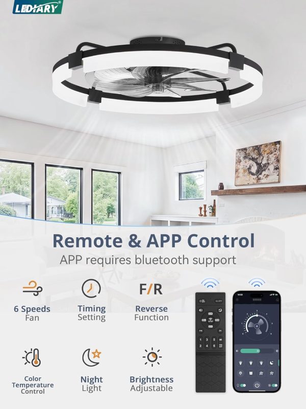 windphoto 24" Ceiling Fans with Lights, Low Profile Fandelier for Bedroom | Flush Mount Fan Light, Stepless Dimmable, App/Remote Control, 3 CCT Led, 6 Speeds, Quiet Reversible DC Motor, Black