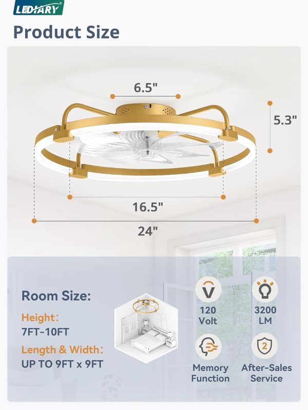 windphoto 24" Ceiling Fans with Lights and Remote, Low Profile Led Fan Light | Flush Mount, Stepless Dimmable Fandelier, 6 Speeds, 3 CCT, Quiet Reversible DC Motor, 2H Timer, Bedroom, Living Room, Gold