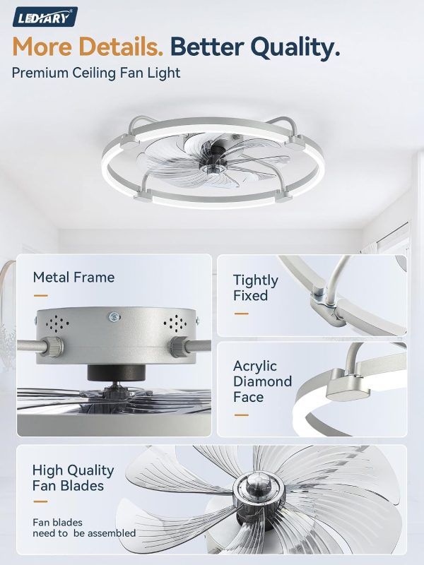 windphoto 24" Low Profile Ceiling Fans with Lights, Remote/APP Control, Grey | Wider Airflow, Stepless Dimmable LED, Quiet Reversible DC Motor, 6 Speeds, 3CCT, Timer, Bedroom, Living Room, Kitchen