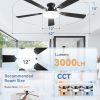 windphoto 52 Inch Flush Mount Ceiling Fans with Lights, Remote & APP Control | Bright Light, 3CCT, Memory Function, Timer, Reversible Blade, Quiet DC Motor, Damp-Rated, Living Room, Bedroom, Covered Patio