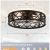 windphoto 20" Caged Farmhouse Ceiling Fan with Light, Flush Mount, Black | Remote&APP Control, Small Low Profile, Rustic Fandaliers, Industrial Bladeless Enclosed, Powerful Motor for Bedroom, Kitchen