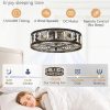 windphoto 20" Caged Flush Mount Vintage Ceiling Fan and Remote, Black | Low Profile, Bladeless Enclosed Fandelier, 6 Speed, Quiet Reversible DC, Rustic, Victorian, Rustic, Crystal, Bedroom, Kitchen