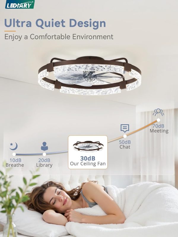 windphoto 2-Pack 24" Ceiling Fans with Lights, APP & Remote, Brown | Low Profile, Flush Mount, Fandelier, 3000K-6000K, Dimmable LED, for Bedroom