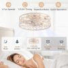 71j5llpQC2L._AC_SL1500_.jpg windphoto 20" Caged Ceiling Fan with Light, Flush Mount Fandalier with Remote | Low Profile, Farmhouse Small, Bladeless Industrial, Quiet DC Motor, App Control for Bedroom, Kitchen, Dining Room, White Gold
