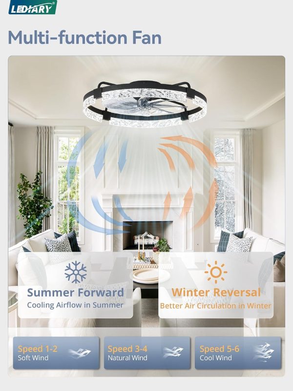 windphoto 2-Pack 24" Ceiling Fans with Lights, APP & Remote, Black | Low Profile, Flush Mount, Fandelier, 3000K-6000K, Dimmable LED, for Bedroom