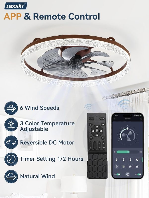 windphoto 24" Low Profile Ceiling Fans with Light and Remote, Fandelier Browm | Reversible Airflow, 3000-6000K Dimmable LED, 6 Speeds, DC Motor, Memory, Timer, Flush Mount, Bedroom, Living Room, Kitchen