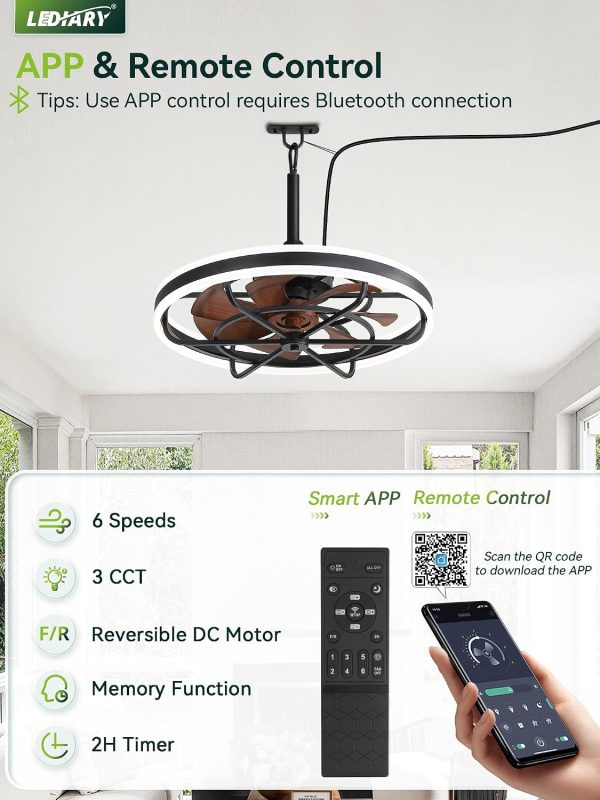 windphoto 24" Outdoor Ceiling Fans with Light, IP65 Waterproof Gazebo Fan | Outdoor Fan with Hanging Hook, Remote & App Control, 3CCT Dimmable,Timer, Caged Plug in Ceiling Fan for Patio, Porch, Pergola