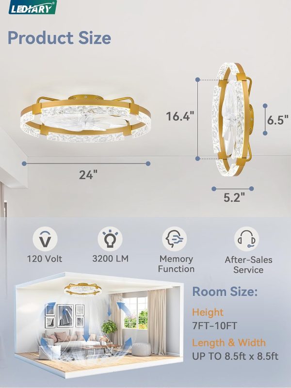 windphoto 2-Pack 24" Ceiling Fans with Lights, APP & Remote, Gold | Low Profile, Flush Mount, Fandelier, 3000K-6000K, Dimmable LED, for Bedroom