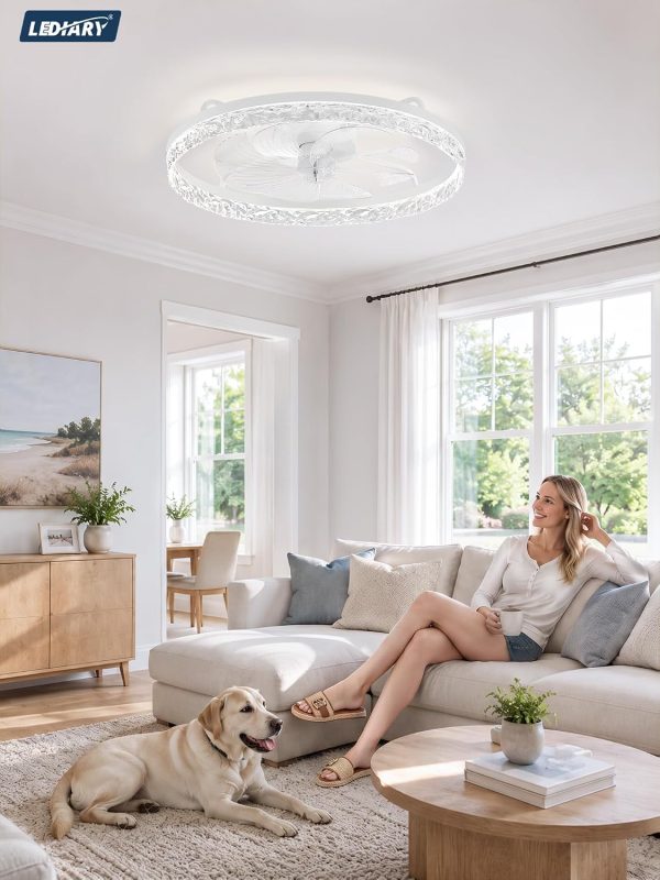 windphoto 24" Low Profile Ceiling Fans with Light and Remote, Fandelier White | Reversible Airflow, 3000-6000K Dimmable LED, 6 Speeds, DC Motor, Memory, Timer, Flush Mount, Bedroom, Living Room, Kitchen