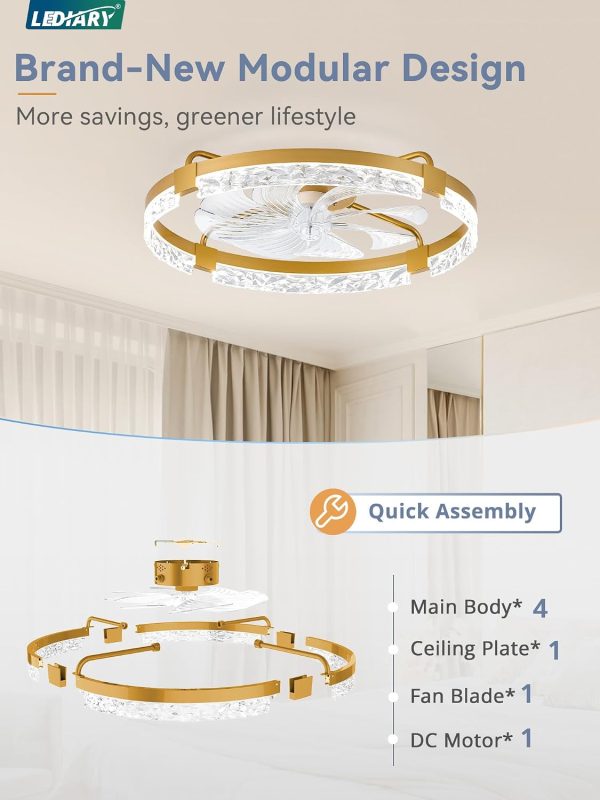 windphoto 24" Low Profile Ceiling Fans with Lights, APP & Remote, Gold | Flush Mount, Fandelier, 3000K-6000K, Dimmable LED, for Bedroom