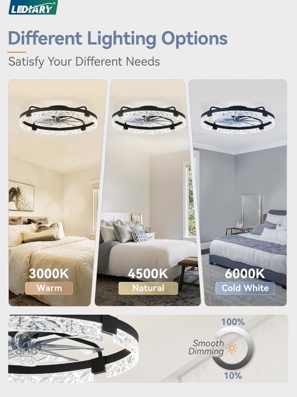 windphoto 2-Pack 24" Ceiling Fans with Lights, APP & Remote, Black | Low Profile, Flush Mount, Fandelier, 3000K-6000K, Dimmable LED, for Bedroom