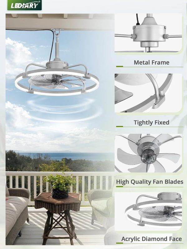 windphoto 24" Waterproof Grey Outdoor Ceiling Fan with Light for Gazebo | IP65 Wet Rated,APP Control,6-Speeds,3CCT Dimmable,Reverse DC Motor,Suitable for 12' x 14' Area,Plug In for Patio,Porch