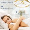 windphoto 2 Pack 24" Ceiling Fans with Lights and Remote, Fandelier Gold | 3CCT, 6 Speeds, Dimmable Low Profile, Flush Mount Ceiling Fan, Timer, Reversible, Memory, Bedroom, Living Room, Kitchen