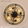 71mqW3pMVOL._AC_SL1500_.jpg windphoto 20 Inch Caged Flush Mount Ceiling Fans with Lights, Black | Low Profile, Farmhouse, Bladeless Enclosed Fandelier, Small, 6 Speed, Quiet Reversible DC, Bedroom, Kitchen, Living Room,