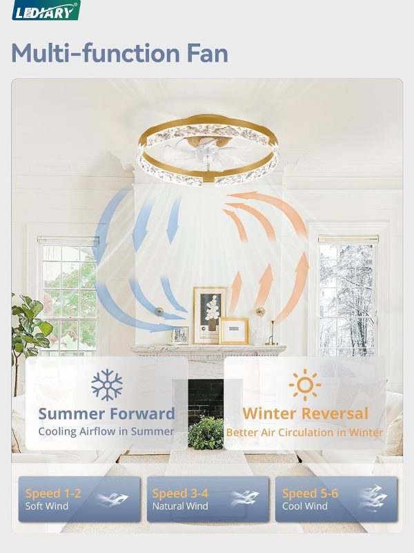 windphoto 2-Pack 20" Ceiling Fans with Lights, APP & Remote, Gold | Low Profile, Flush Mount, Fandelier, 3000K-6000K, Dimmable LED, for Bedroom