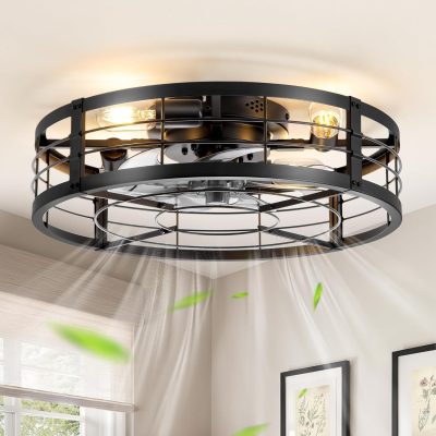 71pcPQglt8L._AC_SL1500_.jpg windphoto 20" Black Caged Low Profile Ceiling Fan with Light and Remote | Flush Mount, Bladeless Enclosed Fandelier, 6 Speed, Quiet Powerful DC, Rustic,Farmhouse, Small, Bedroom, Kitchen, Indoor