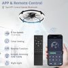 71rJrc7Z1tL._AC_SL1500_.jpg windphoto 2 Pack 24" Ceiling Fans with Lights and Remote, Fandelier Black | 3CCT, 6 Speeds, Dimmable Low Profile, Flush Mount Ceiling Fan, Timer, Reversible, Memory, Bedroom, Living Room, Kitchen