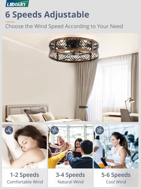 71rQCXnHz-L._AC_SL1500_.jpg windphoto 20" Caged Ceiling Fan with Light and Remote, Fandalier, Black Gold | Flush Mount Low Profile, APP Control, Rustic Bladeless Industrial Enclosed, Quiet & Powerful for Bedroom,Kitchen,Dining Room