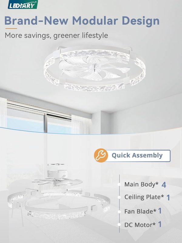 windphoto 24" Low Profile Ceiling Fans with Lights, APP & Remote, White | Flush Mount, Fandelier, 3000K-6000K, Dimmable LED, for Bedroom