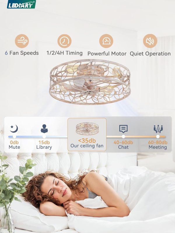 71sNXD9wiML._AC_SL1500_.jpg windphoto 23" Caged Ceiling Fan with Light, Flush Mount Fandalier with Remote | Low Profile, Farmhouse Large, Bladeless Industrial, Quiet DC Motor, App Control for Bedroom, Kitchen, Dining Room, White Gold