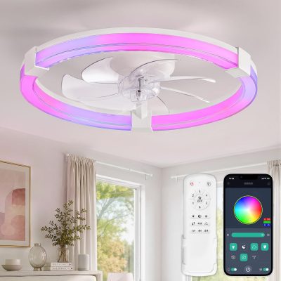 windphoto Ceiling Fan with Light,20inch Low Profile Fandelier with Remote RGB | RGB,6 Speeds, Reversible DC Motor, Dimmable Flush Mount Fan Light, Modern fans for Bedroom