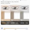 windphoto 20" Modern Ceiling Fans with Lights and Remote, Dimmable Low Profile Ceiling Fan, Flush Mount Ceiling Fan, Stepless Color Temperature Change and 6 Speeds - Brown | Fandelier, Dimmable Low Profile, Flush Mount, Stepless Color Temperature Change, 6 Speeds, Bedroom, Living Room, Kitchen