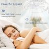 windphoto 2 Pack 24" Ceiling Fans with Lights and Remote, Fandelier White | 3CCT, 6 Speeds, Dimmable Low Profile, Flush Mount Ceiling Fan, Timer, Reversible, Memory, Bedroom, Living Room, Kitchen