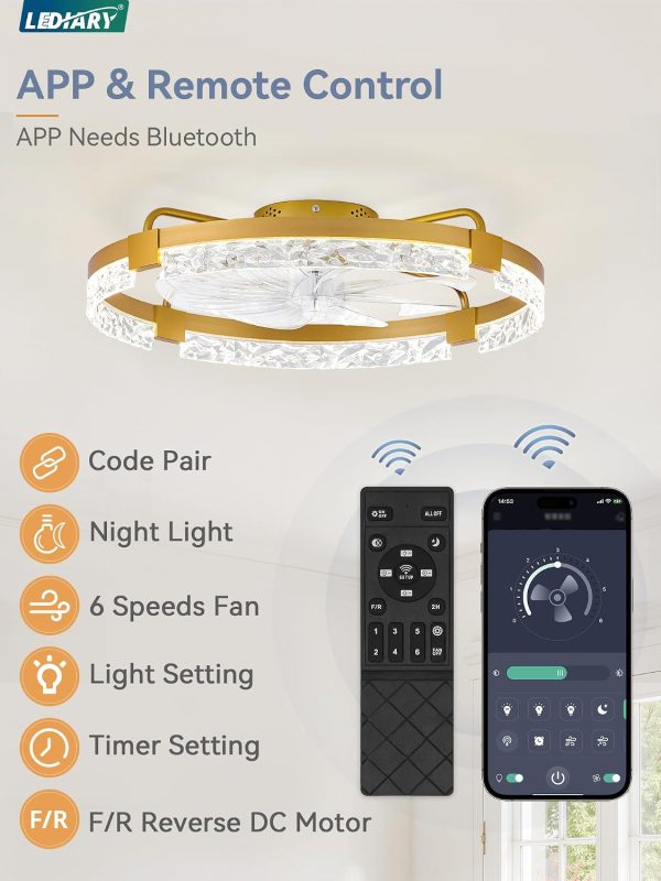 windphoto 2-Pack 24" Ceiling Fans with Lights, APP & Remote, Gold | Low Profile, Flush Mount, Fandelier, 3000K-6000K, Dimmable LED, for Bedroom