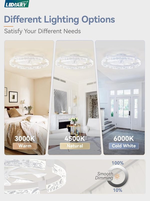 windphoto 2-Pack 24" Ceiling Fans with Lights, APP & Remote, White | Low Profile, Flush Mount, Fandelier, 3000K-6000K, Dimmable LED, for Bedroom