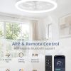 71usI4vSruL._AC_SL1500_.jpg windphoto 23" Ceiling Fans with Lights and Remote for Bedroom, White | Low Profile Fan Light, 3000K-6000K Stepless Dimmable Fandelier, 6 Speed, Reversible DC Motor, APP & Remote Control, Low Noice