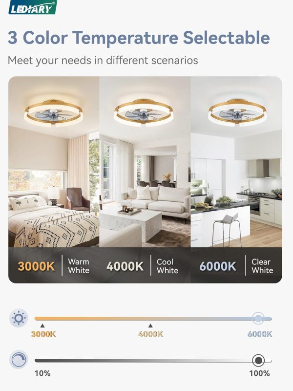 71vBBHYadyL._AC_SL1500_.jpg windphoto 19.7" Ceiling Fans with Lights, Low Profile Fandelier for Bedroom | Flush Mount Fan Light, Stepless Dimmable, App/Remote Control, 3 CCT Led, 6 Speeds, Quiet Reversible DC Motor, Gold