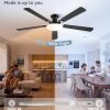 71vTBD7pQL._AC_SL1500_.jpg windphoto 60 Inch Flush Mount Ceiling Fans with Lights, Remote & APP Control | 3CCT,Stepless Dimmable,Memory Function,Timer,6-speed,Reversible Blade, Quiet DC Motor, Damp-Rated, Living Room, Covered Patio