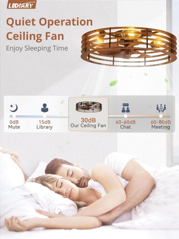 windphoto 23" Caged Low Profile Enclosed Ceiling Fan Light with Remote | Flush Mount, Bladeless Enclosed Fandelier, 6 Speed, Quiet Reversible DC, Rustic, Victorian, Rustic, Bedroom, Kitchen