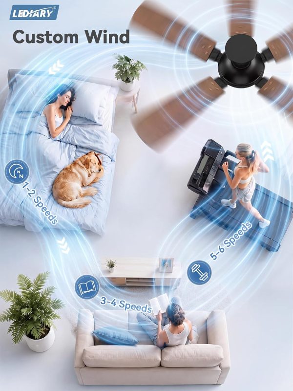 71vdrsFM41L._AC_SL1500_.jpg windphoto 42 Inch Flush Mount Ceiling Fans with Lights, Remote & APP Control | Bright Light, 3CCT, Dimmable, Memory Function, Timer, Reversible Blade, Quiet DC Motor, Damp-Rated, Bedroom, Covered Patio