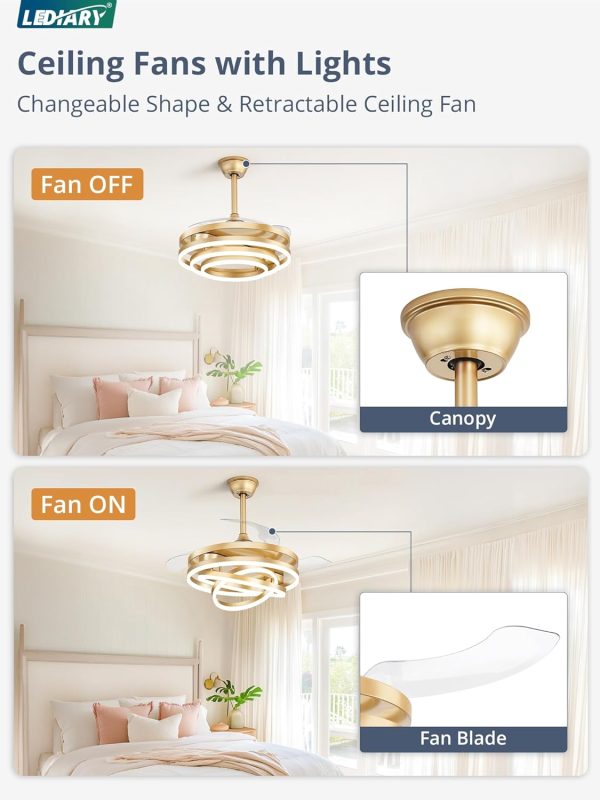 windphoto 42 Inch Retractable Ceiling Fan with Lights, Modern Gold Fandelier | 6 Speeds, 3000K-6000K Adjustable, DC Motor, Chandelier Ceiling Fans with Lights and Remote for Bedroom Living Room