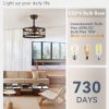 71xVe5kixML._AC_SL1500_.jpg windphoto 16.5" Black Caged Ceiling Fan and 20" White Low Profile CCT Dimmable LED Ceiling Fan with Light & Remote, 6 Speed, Timing for Outdoor and Bedroom, Kitchen
