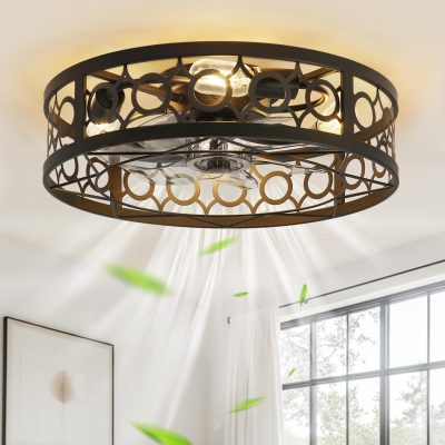 windphoto 20 Inch Caged Flush Mount Ceiling Fans with Lights, Black | Low Profile, Farmhouse, Bladeless Enclosed Fandelier, Small, 6 Speed, Quiet Reversible DC, Bedroom, Kitchen, Living Room,