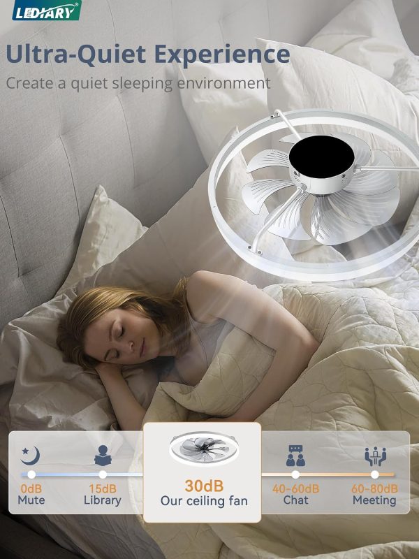 windphoto 23" Low Profile Ceiling Fans with Lights, APP & Remote, Grey | Flush Mount, Dimmable LED, Quiet DC Motor, Reversible, 6 Speeds, Fandelier, for Bedroom