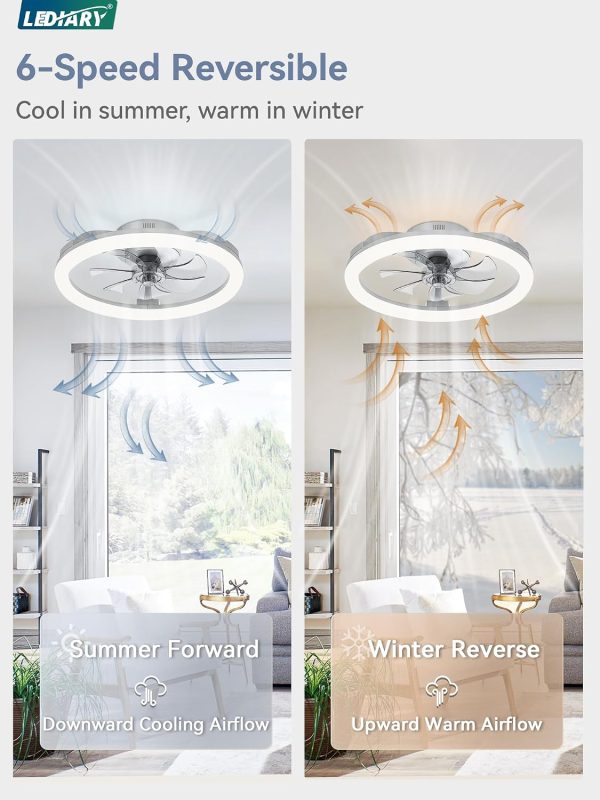 windphoto 20" Ceiling Fans with Lights and Remote for Bedroom, Grey | Low Profile Fan Light, 3000K-6000K Stepless Dimmable Fandelier, 6 Speed, Reversible DC Motor, APP & Remote Control, Low Noice