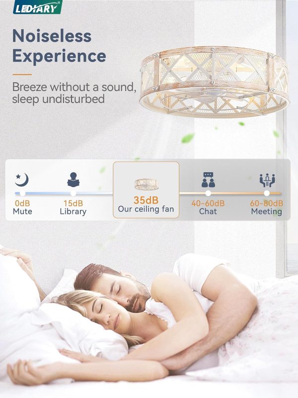 windphoto 20" Caged Farmhouse Ceiling Fan with Light, Flush Mount, White Gold | Remote&APP Control, Small Low Profile, Rustic Fandaliers, Industrial Bladeless Enclosed, Powerful Motor for Bedroom, Kitchen