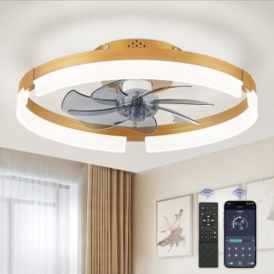 71yWxp8fS3L._AC_SL1500_.jpg windphoto 19.7" Ceiling Fans with Lights, Low Profile Fandelier for Bedroom | Flush Mount Fan Light, Stepless Dimmable, App/Remote Control, 3 CCT Led, 6 Speeds, Quiet Reversible DC Motor, Gold