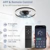 71yc3T4fqIL._AC_SL1500_.jpg windphoto 22" Ceiling Fans with Lights and Remote, Fandelier Black | 3CCT, 6 Speeds, Dimmable Low Profile, Flush Mount Ceiling Fan, Timer, Reversible, Memory, Bedroom, Living Room, Kitchen