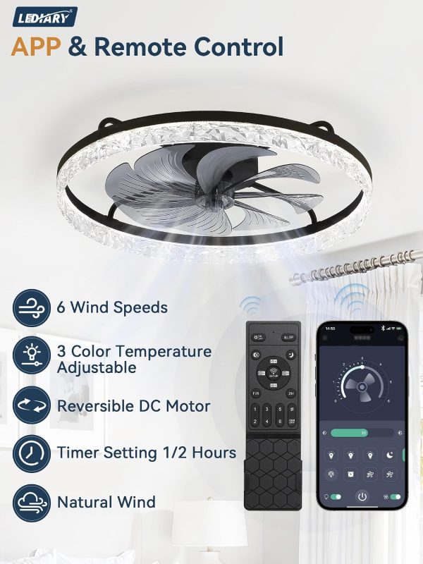 windphoto 24" Low Profile Ceiling Fans with Light and Remote, Fandelier Black | Reversible Airflow, 3000-6000K Dimmable LED, 6 Speeds, DC Motor, Memory, Timer, Flush Mount, Bedroom, Living Room, Kitchen