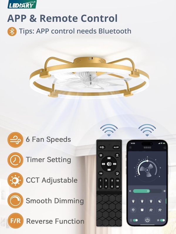 windphoto 24" Ceiling Fans with Lights and Remote, Low Profile Led Fan Light | Flush Mount, Stepless Dimmable Fandelier, 6 Speeds, 3 CCT, Quiet Reversible DC Motor, 2H Timer, Bedroom, Living Room, Gold