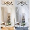 71zCTEQuHFL._AC_SL1500_.jpg windphoto Flower Fandalier Ceiling Fan with Light, Modern Low Profile Small | 27 Inch Flush Mount, 3000-6000K Dimmable LED, Remote&App Control, Quiet DC Motor, for Bedroom, Living Room, Indoor, White